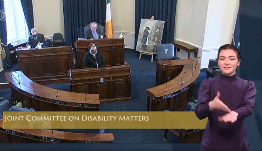 Video still of the Seanad Chamber with ISL interpreter in the foreground
