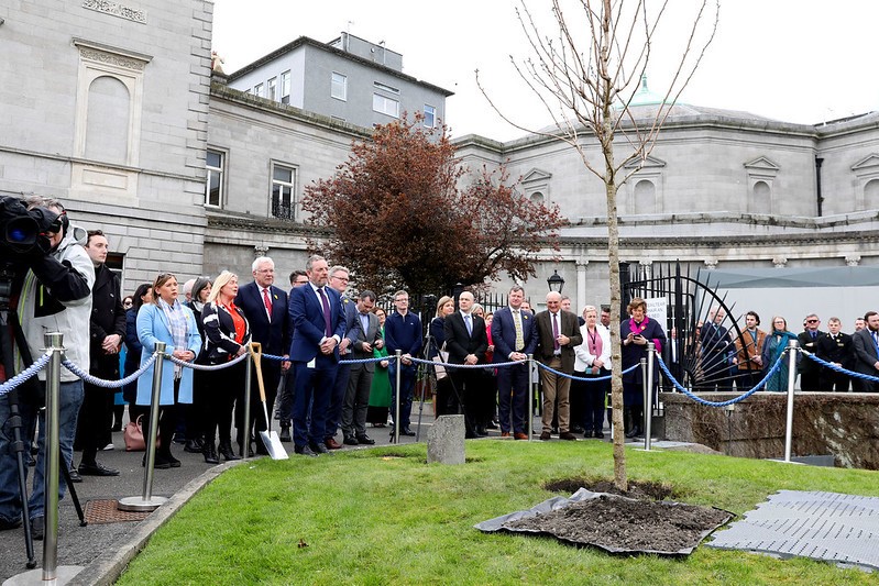 Wide angle photo of attendees at tree planning ceremony on Leinster Lawn in March 2023